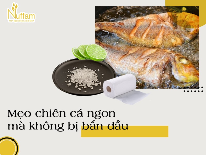 nuffam-mach-ban-meo-chien-ca-khong-bi-ban-dau